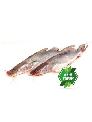 River Ayir Fish ( নদীর আইড় মাছ -1-2kg Size) 1KG/ Per KG