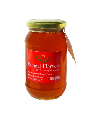Sundarban Natural Raw Honey (সুন্দরবনের প্রাকৃতিক র-মধু) - 500gm 