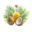 Coconut Oil